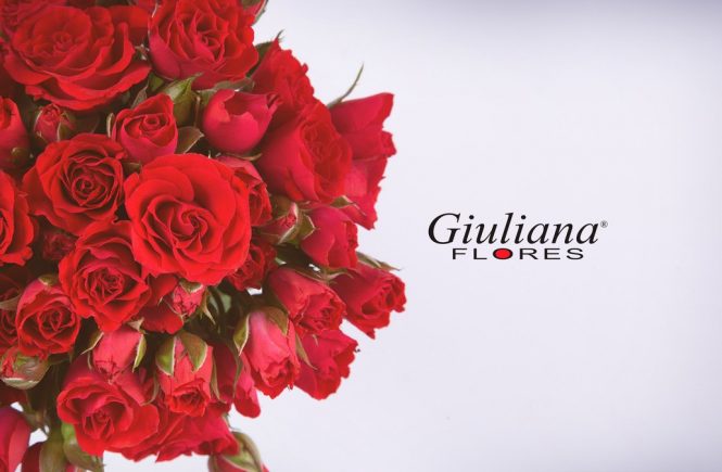 Giuliana Flores | Floricultura em Fortaleza