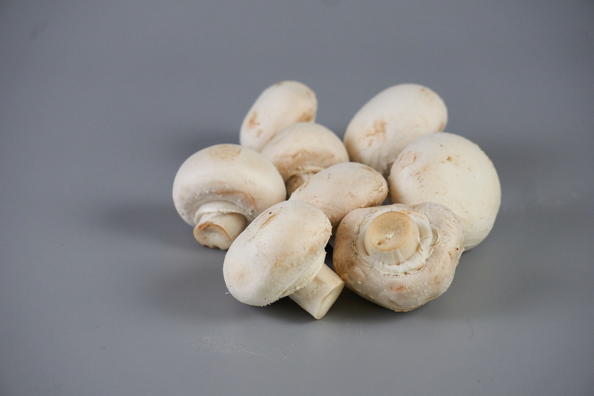 Benefícios dos cogumelos: 4 vantagens de consumir esse alimento