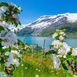 primavera na noruega