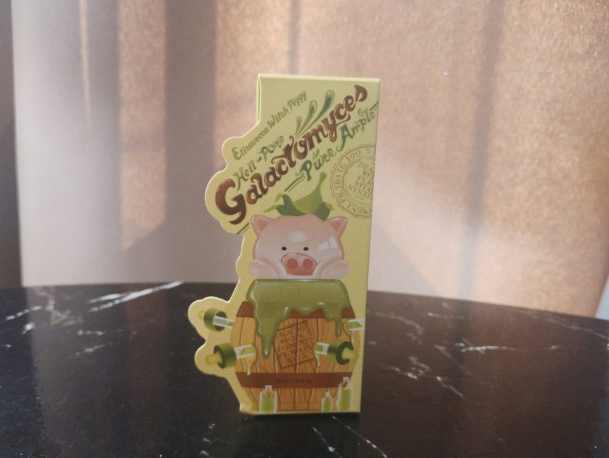 galactomyces