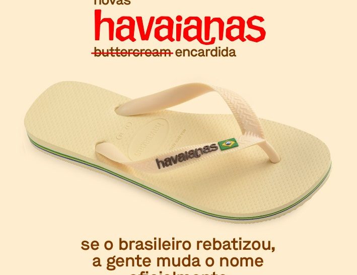 havaianas