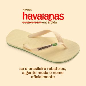 havaianas