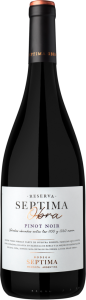 vinhos