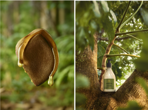 img-natura-01 natura